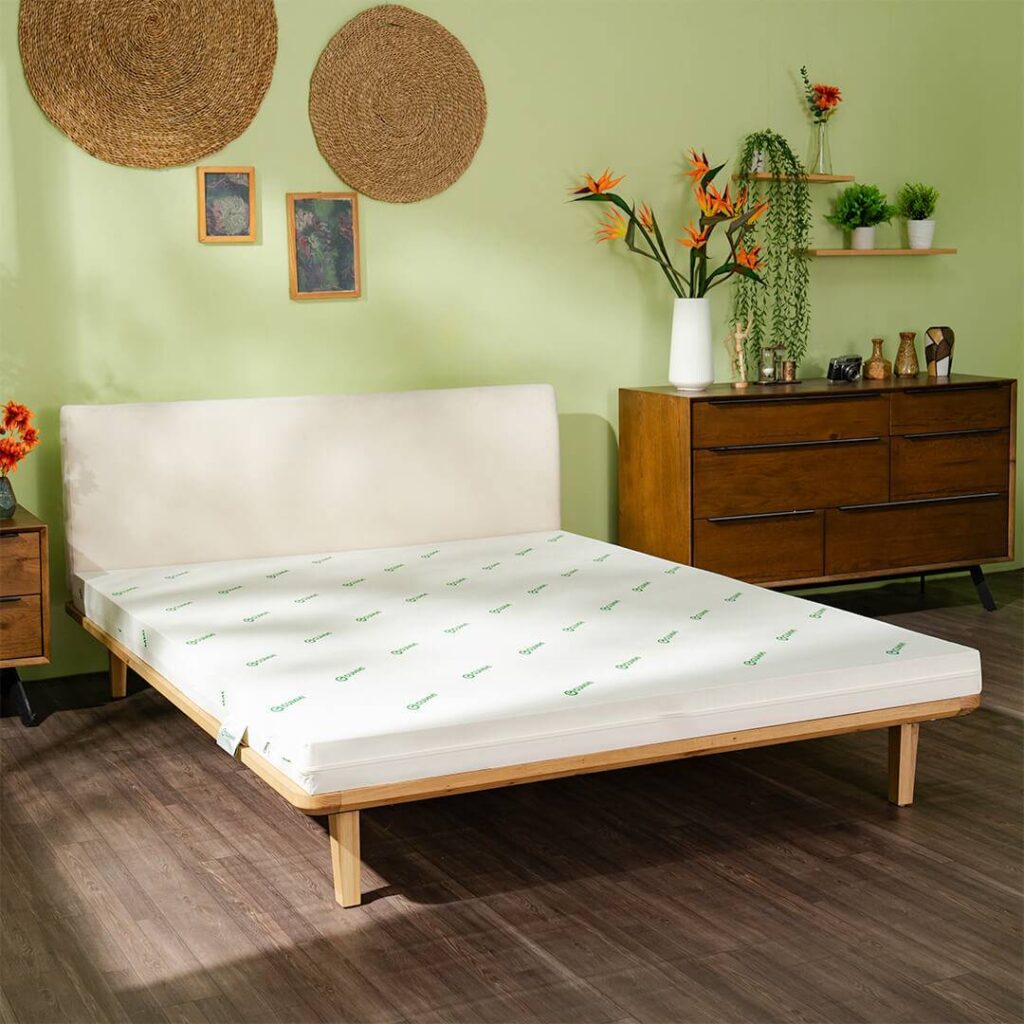 Nệm cao su foam là gì? Đặc điểm và top những mẫu nệm cao su foam bán chạy nhất hiện nay 6 Nệm cao su foam Gummi Lite