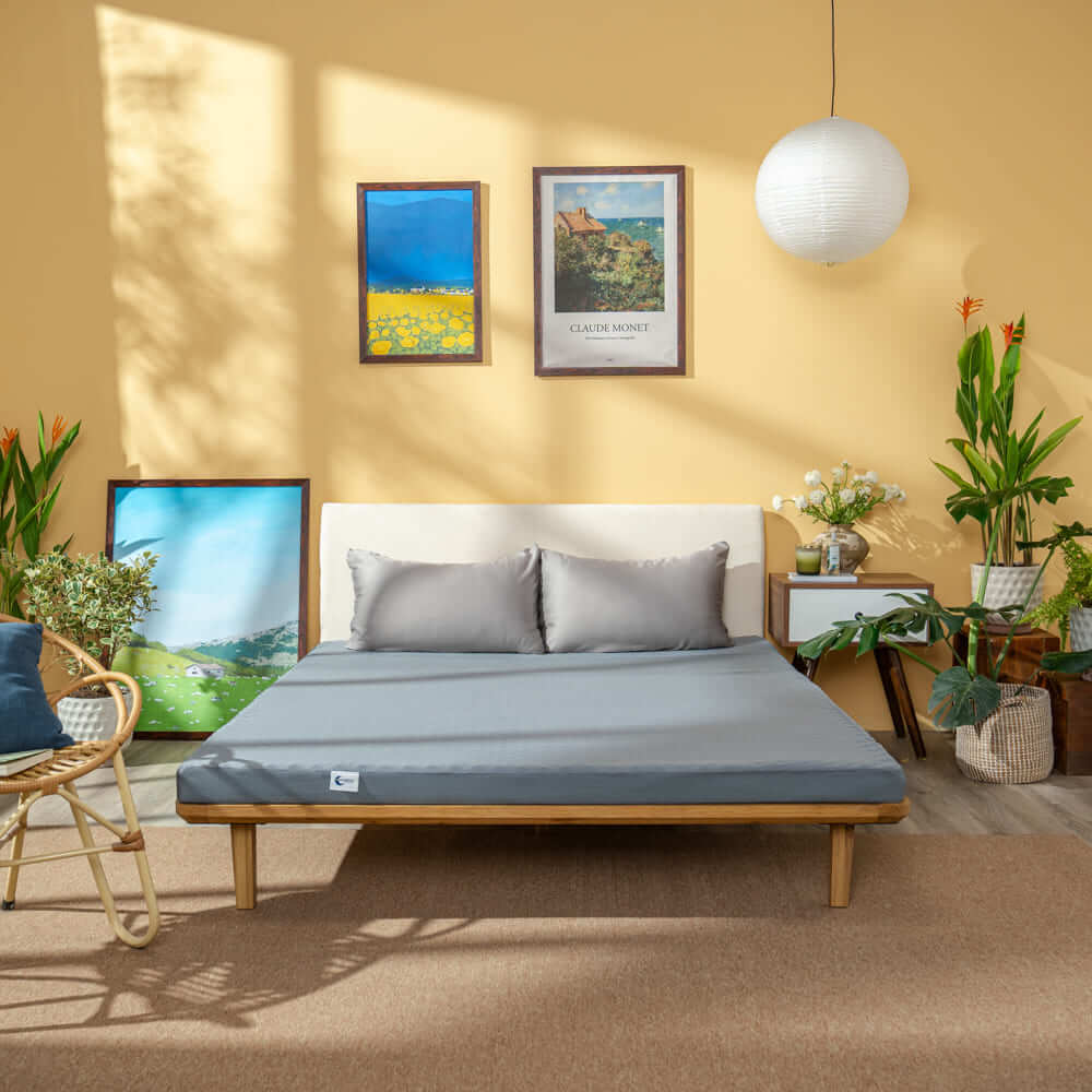 Nệm foam 1m6x2m phù hợp với ai? Top những mẫu nệm foam m6 được ưa chuộng 5 Nệm foam 1m6x2m massage Goodnight Osaka