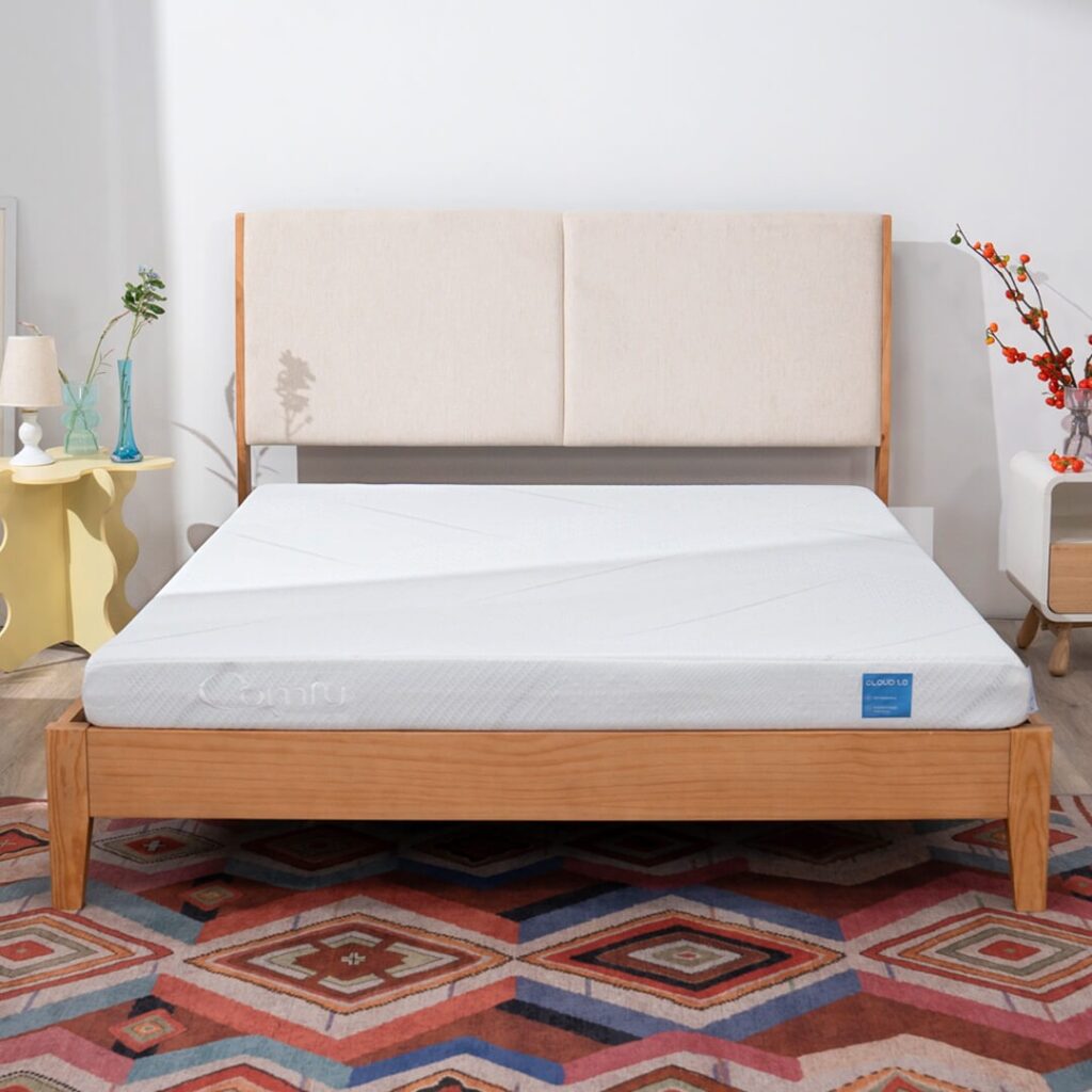 Đánh giá nệm foam hỗ trợ cột sống Comfy Cloud 1.0 có chất lượng ra sao? 2 nệm foam Comfy