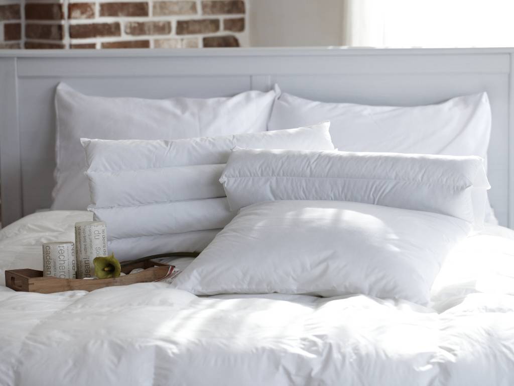 Cách chọn gối cho người lớn tuổi? Loại nào tốt nhất? 4 gối cho người già