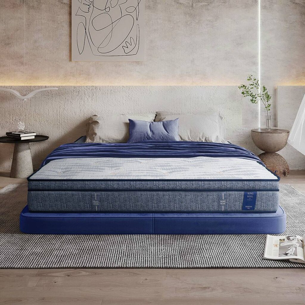 Gợi ý Top 11 nệm cao cấp, sang trọng cho giới nhà giàu 6 nệm cao cấp King Koil Serene Plus
