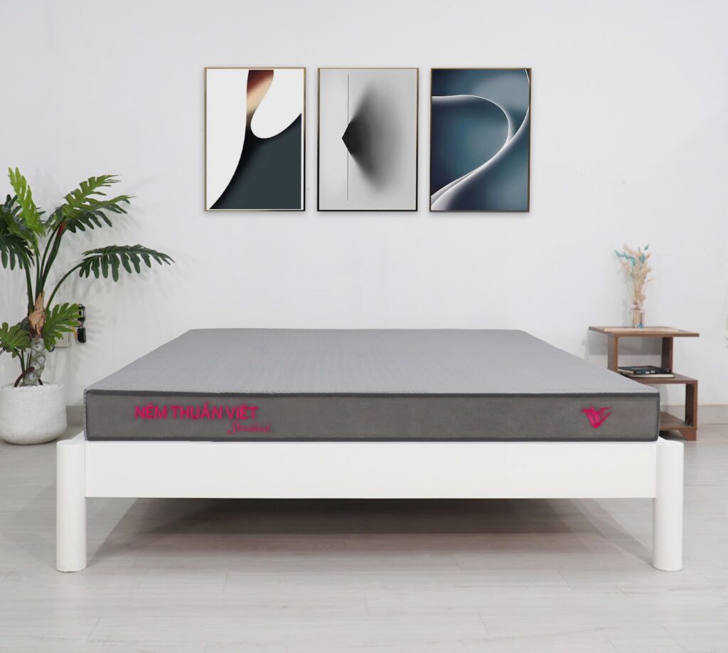 Gợi ý cách chọn mua nệm cho chung cư phù hợp, chất lượng 8 mua nệm cho chung cư thuần việt