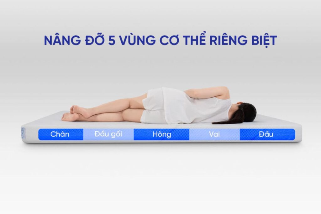 Cách chọn nệm cho người bị đau thần kinh tọa chuẩn nhất? 7 nệm cho người bị đau thần kinh tọa comfy cloud 1.0