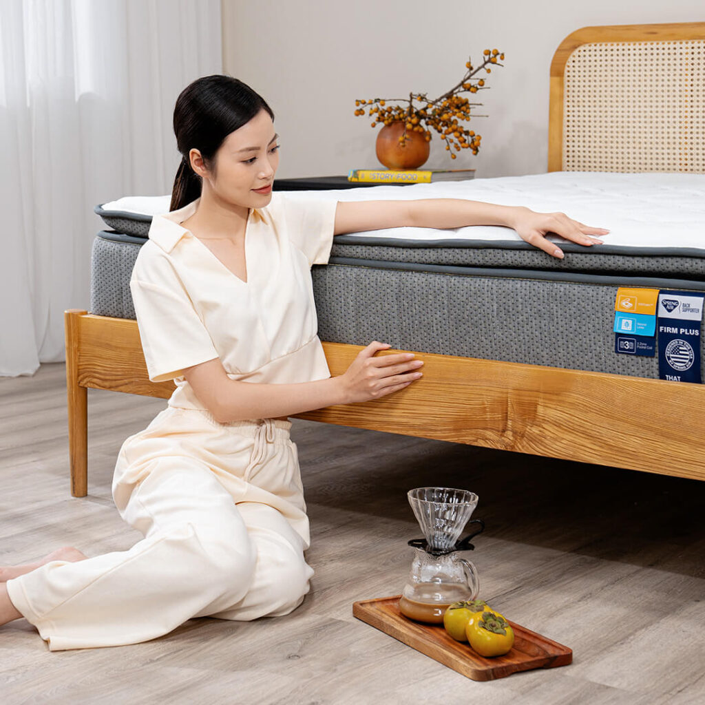 Tư vấn chọn mua nệm cho người đau lưng đầy đủ và chi tiết nhất 11 Nệm cho người đau lưng Spring Air Back Supporter Firm