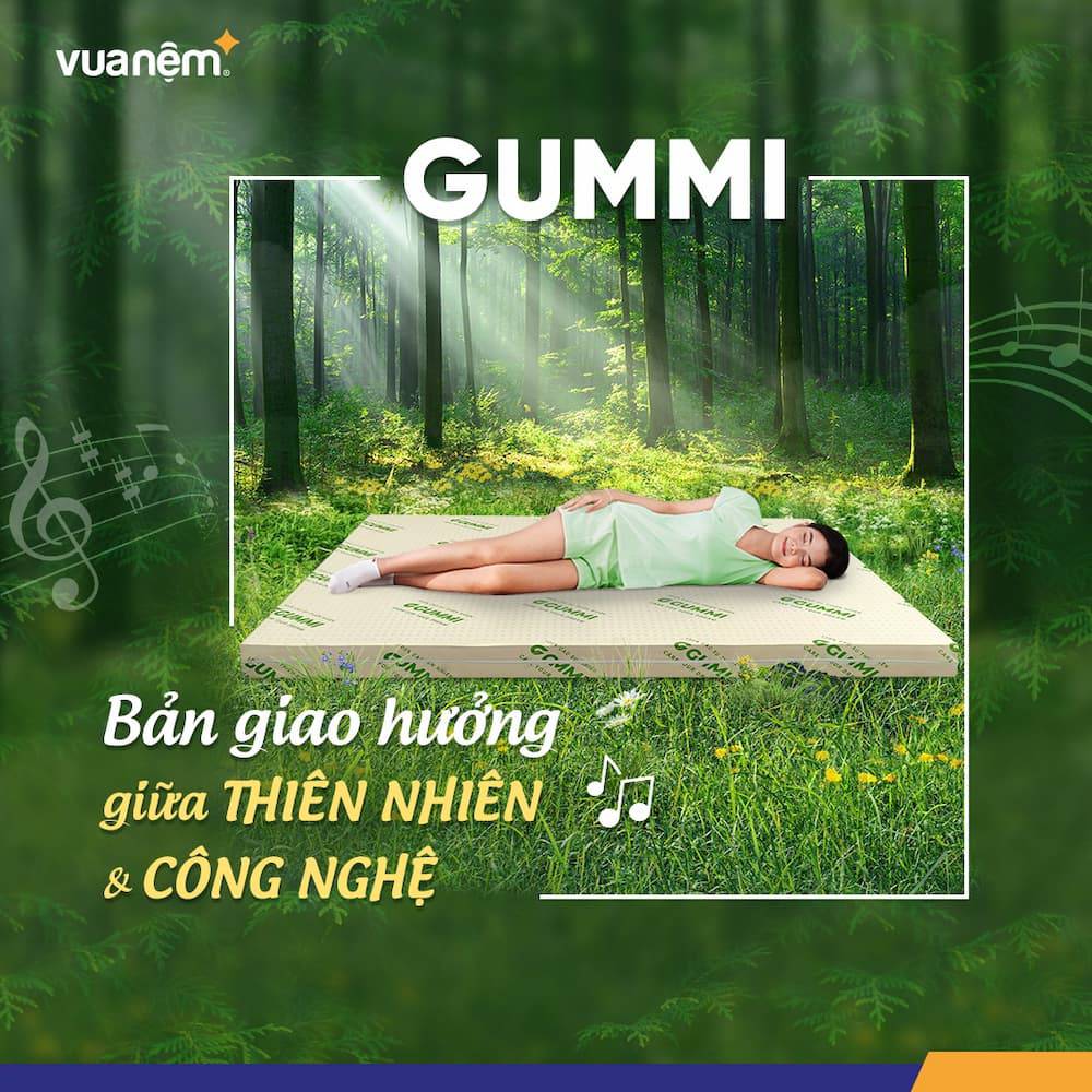 Các thương hiệu nệm của Việt Nam uy tín, chất lượng tốt nhất hiện nay 4 thương hiệu nệm gummi