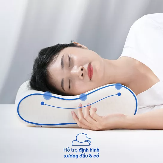 Gối foam Comfy Sofy công thái học 15 Hỗ trợ định hình xương đầu và cổ