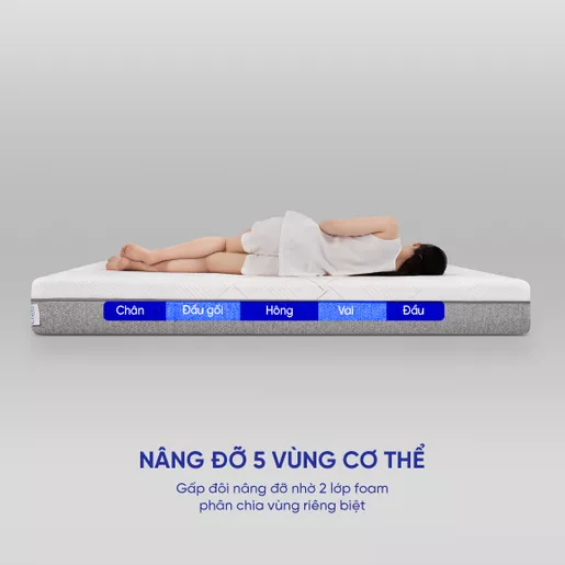 Nệm foam Comfy Lux 2.0 21 Comfy lux 2.0 cao cấp nâng đỡ 5 vùng cơ thể