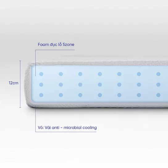 Nệm Foam Comfy Cloud 1.0 19 Foam đục lỗ 5 Zone