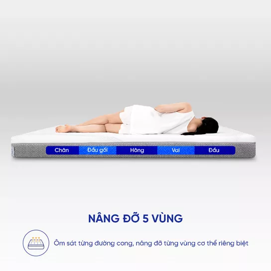 Nệm Foam Comfy Cloud 3.0 22 Nâng đỡ 5 vùng cơ thể