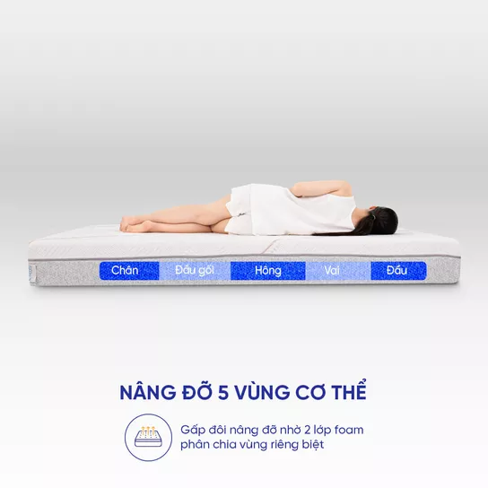 Nệm Foam Comfy Lux 1.0 26 Lux 2.0 nâng đỡ 5 vùng cơ thể